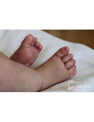 Harper by Sandy Faber