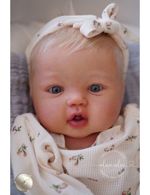 Harper by Sandy Faber