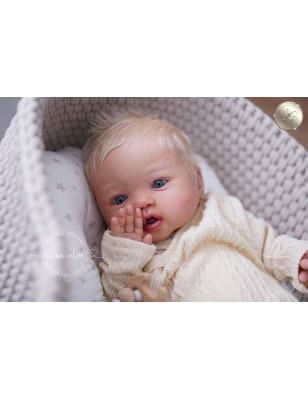 Harper by Sandy Faber