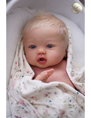 Harper by Sandy Faber