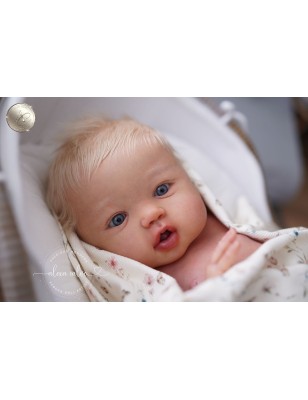 Harper by Sandy Faber