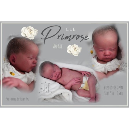 PRIMEROSE ASLEEP by Laura Lee Eagles (SALDO FATTURA)
