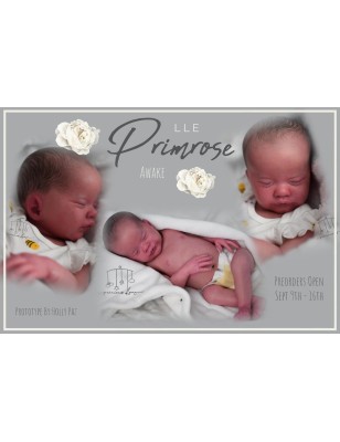 PRIMEROSE ASLEEP by Laura Lee Eagles