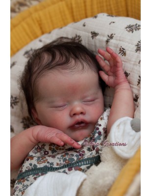 PRIMEROSE ASLEEP by Laura Lee Eagles