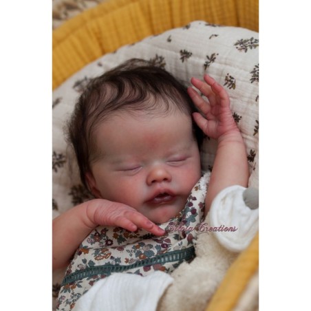 PRIMEROSE ASLEEP by Laura Lee Eagles