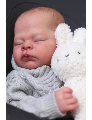 THEO by Doris Moyers-Hornbogen (PRE-ORDINE)