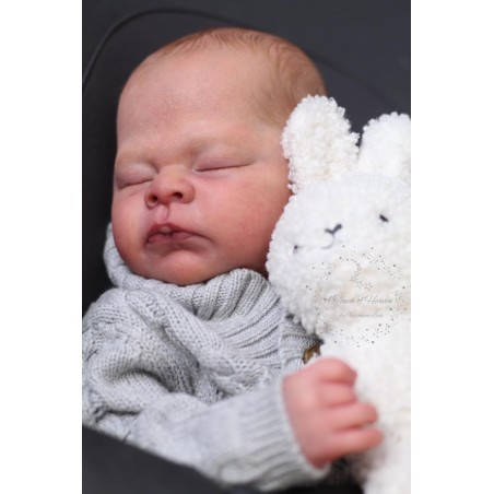 THEO by Doris Moyers-Hornbogen (PRE-ORDINE)