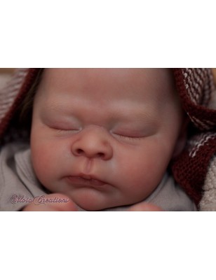 THEO by Doris Moyers-Hornbogen (PRE-ORDINE)