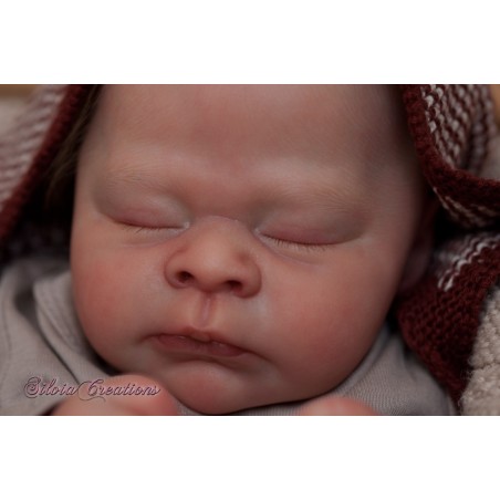 THEO by Doris Moyers-Hornbogen (PRE-ORDINE)