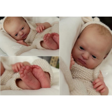 Kit completo Realborn® Phineas Awake