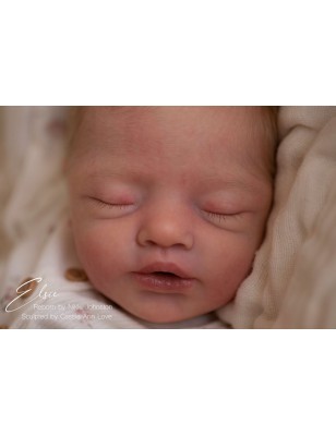 Kit Completo ELSIE by Cassie Brace