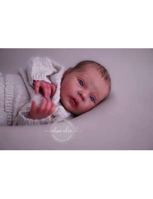 MAYVEN by Viviane Aleluia + pancino
