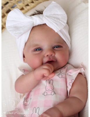 Georgie by Sandy Faber