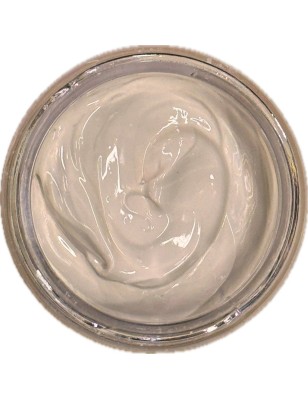 IRHSP - Flesh Base