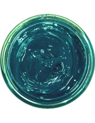 IRHSP - Light Blue Vein