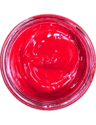 IRHSP - Primary Red