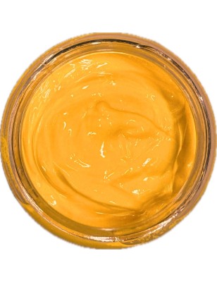 IRHSP - Primary Yellow