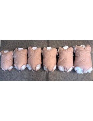 Body -Full limbs without joints -2W-C