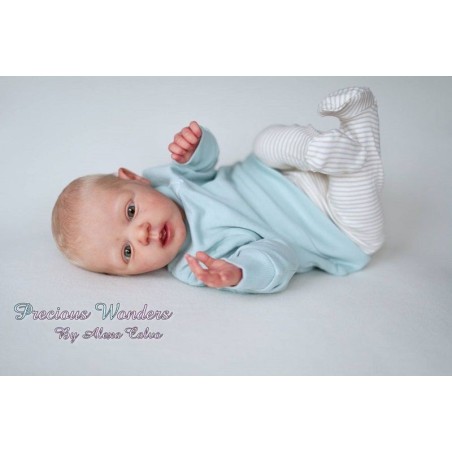 Complete kit Noah by Linde Scherer
