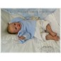 Kit Completo Noah by Linde Scherer