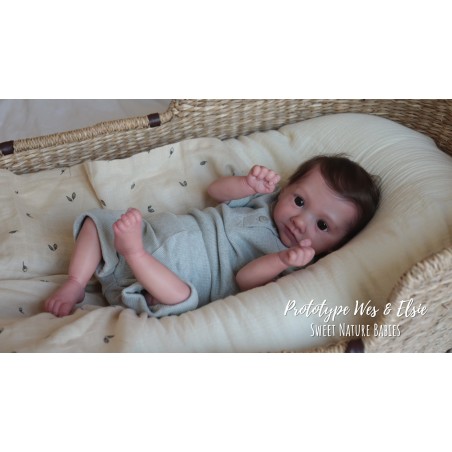 WES by Mirte Kooi ( PRE-ORDER)- SNEAK PEEK 1 Settembre