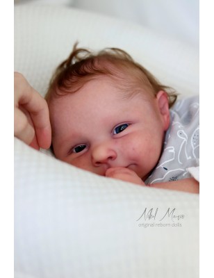 ROSIE by Cassie Love (PRE-ORDINE)