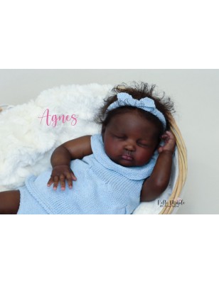 Angus/Agnes by Estibaliz Alonso (PRE-ORDINE)