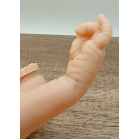 Bras entières 19-20" -  second choix