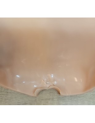 Placca retro 21-22" - 2° scelta