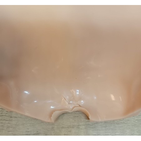 Placca retro 21-22" - 2° scelta