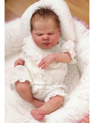 HARRIET by Cassie Love (PRE-ORDINE)