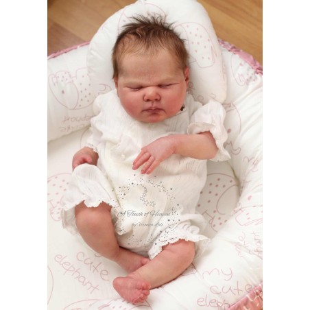 HARRIET by Cassie Love (PRE-ORDINE)