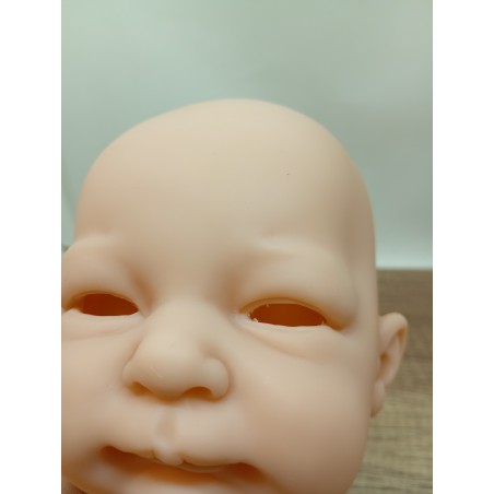 Testa Selina by Linde Scherer - 2a scelta