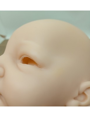 Testa Selina by Linde Scherer - 2a scelta