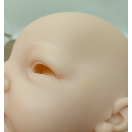 Testa Selina by Linde Scherer - 2a scelta