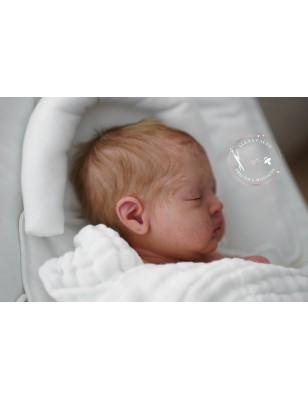 DAJA by Bina Esmina Chaves (PRE-ORDINE)