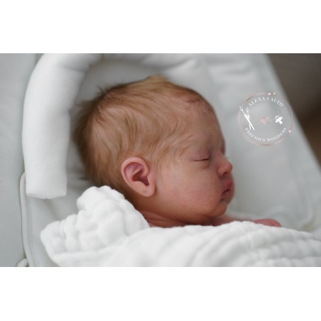 DAJA by Bina Esmina Chaves (PRE-ORDINE)