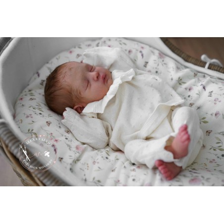 DAJA by Bina Esmina Chaves (PRE-ORDINE)