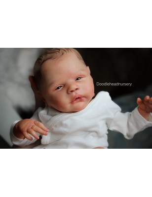 ALESSANDRO AWAKE by Cassie Love (PREORDER)