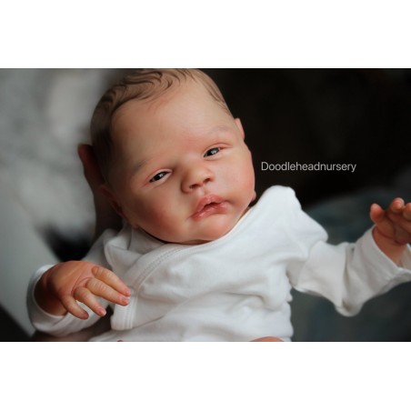 ALESSANDRO AWAKE by Cassie Love (PREORDER)