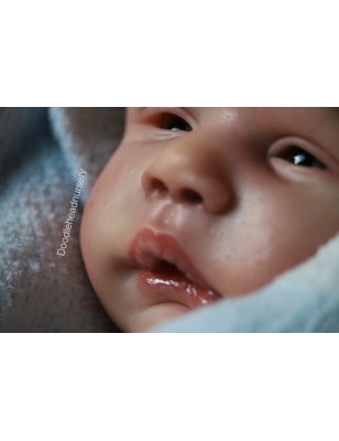 ALESSANDRO AWAKE by Cassie Love (PREORDER)