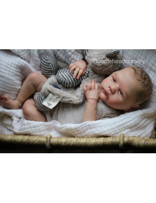 ALESSANDRO AWAKE by Cassie Love (PREORDER)