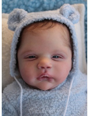 ALESSANDRO AWAKE by Cassie Love (PREORDER)