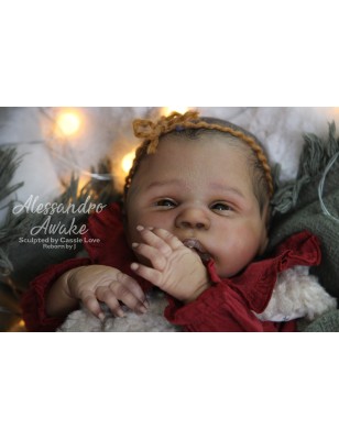 ALESSANDRO AWAKE by Cassie Love (PREORDER)