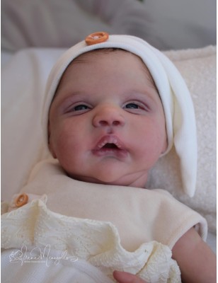 ALESSANDRO AWAKE by Cassie Love (PREORDER)