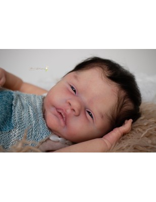 ALESSANDRO AWAKE by Cassie Love (PREORDER)