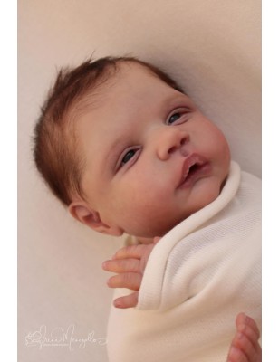 ALESSANDRO AWAKE by Cassie Love (PREORDER)