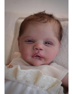 ALESSANDRO AWAKE by Cassie Love (PREORDER)