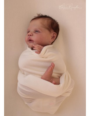 ALESSANDRO AWAKE by Cassie Love (PREORDER)