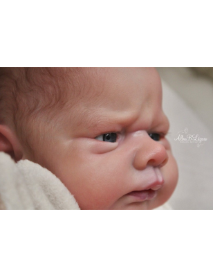 KOBI by Doris Moyers Hornbogen (SALDO FATTURA)